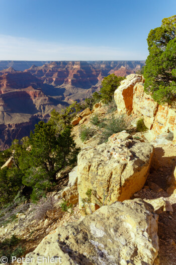 Powell Point  Grand Canyon Village Arizona USA by Peter Ehlert in Grand Canyon South Rim