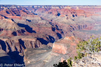 Hopi Point  Grand Canyon Village Arizona USA by Peter Ehlert in Grand Canyon South Rim