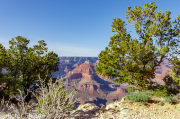 Hopi Point  Grand Canyon Village Arizona USA by Peter Ehlert in Grand Canyon South Rim