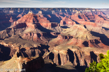 Hopi Point  Grand Canyon Village Arizona USA by Peter Ehlert in Grand Canyon South Rim