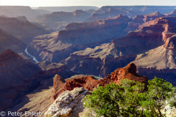 Mohave Point  Grand Canyon Village Arizona USA by Peter Ehlert in Grand Canyon South Rim