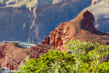 Mohave Point  Grand Canyon Village Arizona USA by Peter Ehlert in Grand Canyon South Rim