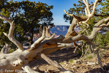 Mohave Point  Grand Canyon Village Arizona USA by Peter Ehlert in Grand Canyon South Rim