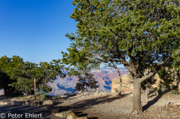 Mohave Point  Grand Canyon Village Arizona USA by Peter Ehlert in Grand Canyon South Rim