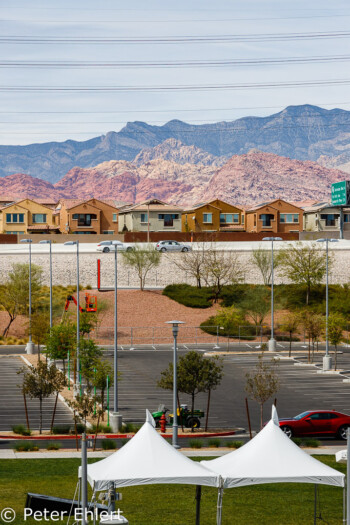 Rasenfläche vor Red Rock Mountains  Las Vegas Nevada USA by Peter Ehlert in Las Vegas Stadt und Hotels