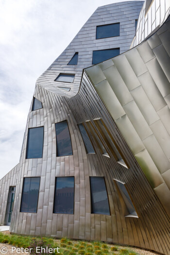 Melted House von  Frank Gehry  Las Vegas Nevada USA by Peter Ehlert in Las Vegas Stadt und Hotels