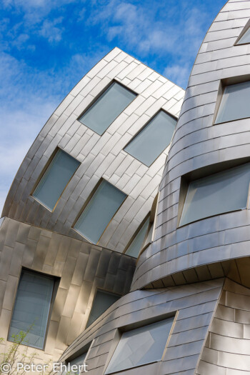 Melted House von  Frank Gehry  Las Vegas Nevada USA by Peter Ehlert in Las Vegas Stadt und Hotels