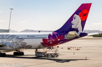 Hawaiian Airlines  Las Vegas Nevada USA by Peter Ehlert in Las Vegas Stadt und Hotels