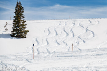 Spuren im Schnee  Lech Vorarlberg Österreich by Peter Ehlert in Sankt Anton 2018