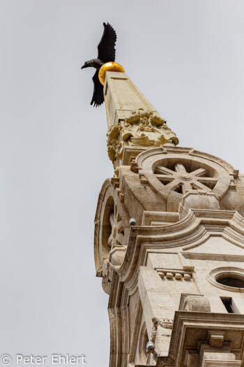 Obelisk mit Adler  Budapest Budapest Ungarn by Peter Ehlert in Budapest Weekend