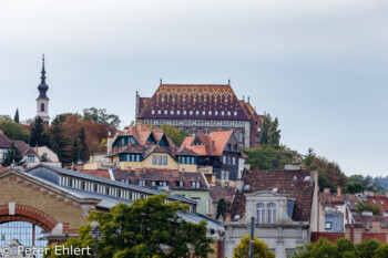 Dach des ungarischen Nationalarchivs  Budapest Budapest Ungarn by Peter Ehlert in Budapest Weekend