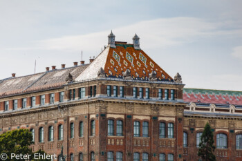 Buntes Schieferdach  Budapest Budapest Ungarn by Peter Ehlert in Budapest Weekend