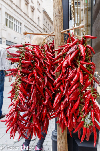 Paprika  Budapest Budapest Ungarn by Peter Ehlert in Budapest Weekend