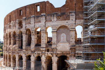 Colosseum  Roma Latio Italien by Peter Ehlert in Rom - Colosseum und Forum Romanum