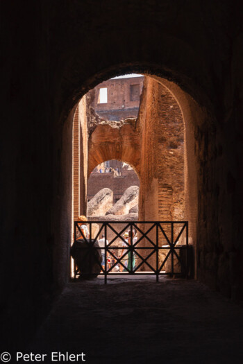 Blick ins Innere des Colosseum  Roma Latio Italien by Lara Ehlert in Rom - Colosseum und Forum Romanum