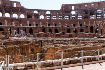 Breite Seite des Colosseums  Roma Latio Italien by Peter Ehlert in Rom - Colosseum und Forum Romanum