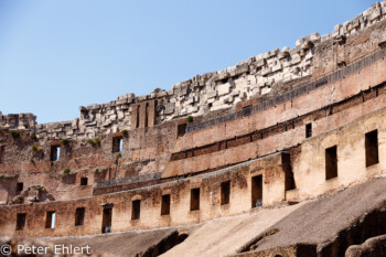 Oberste Steinreihe  Roma Latio Italien by Peter Ehlert in Rom - Colosseum und Forum Romanum
