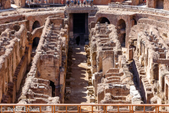 Blick ins Untergeschoss  Roma Latio Italien by Peter Ehlert in Rom - Colosseum und Forum Romanum