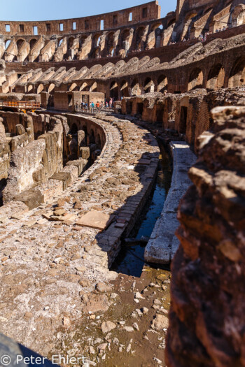 Seitenblick auf Rundgang  Roma Latio Italien by Peter Ehlert in Rom - Colosseum und Forum Romanum