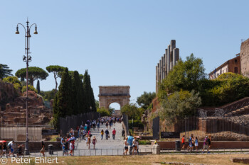 Blick auf Via Sacra  Roma Latio Italien by Peter Ehlert in Rom - Colosseum und Forum Romanum