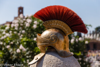 Legionärshelm  Roma Latio Italien by Peter Ehlert in Rom - Colosseum und Forum Romanum