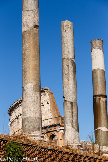Tempelsäulen  Roma Latio Italien by Peter Ehlert in Rom - Colosseum und Forum Romanum
