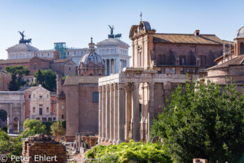 Antonis und Faustina Tempel  Roma Latio Italien by Lara Ehlert in Rom - Colosseum und Forum Romanum