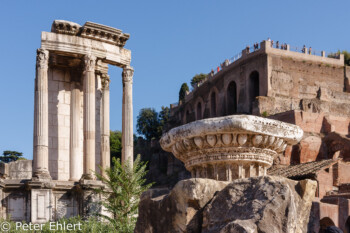 Tempio di Vesta  Roma Latio Italien by Lara Ehlert in Rom - Colosseum und Forum Romanum