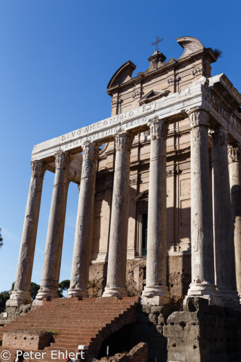 Antonis und Faustina Tempel  Roma Latio Italien by Peter Ehlert in Rom - Colosseum und Forum Romanum