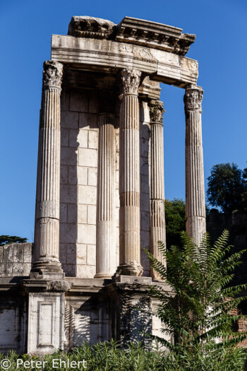 Tempio di Vesta  Roma Latio Italien by Peter Ehlert in Rom - Colosseum und Forum Romanum