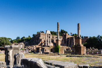 Il Tempio dei Dioscuri  Roma Latio Italien by Lara Ehlert in Rom - Colosseum und Forum Romanum