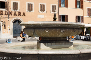 Fontana di Campo de Fiori  Roma Latio Italien by Peter Ehlert in Rom - Plätze und Kirchen