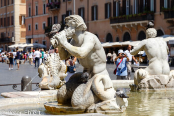 Fontana del Moro  Roma Latio Italien by Peter Ehlert in Rom - Plätze und Kirchen