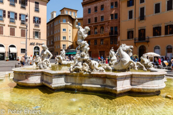 Fontana del Nettuno  Roma Latio Italien by Peter Ehlert in Rom - Plätze und Kirchen