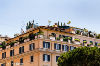 Dachterrasse  Roma Latio Italien by Peter Ehlert in Rom - Plätze und Kirchen