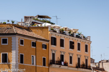 Dachterrasse  Roma Latio Italien by Peter Ehlert in Rom - Plätze und Kirchen