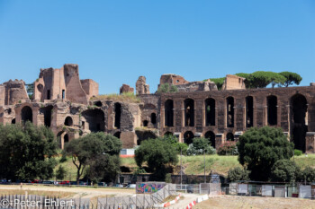 Palatino  Roma Latio Italien by Peter Ehlert in Rom - Plätze und Kirchen