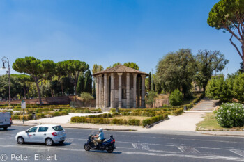 Tempio di Ercole Vincitore  Roma Latio Italien by Peter Ehlert in Rom - Plätze und Kirchen