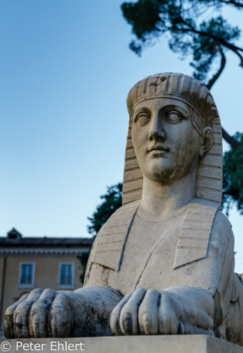 Sphinx  Roma Latio Italien by Peter Ehlert in Rom - Plätze und Kirchen