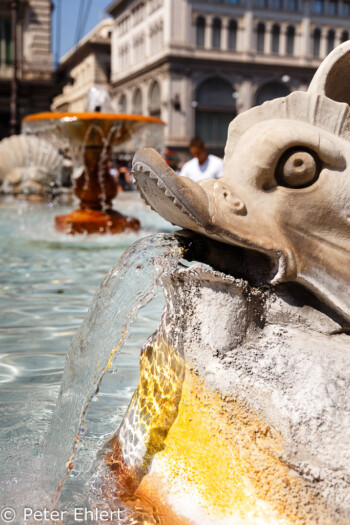 Fisch an Fontana die Piazza Colonna  Roma Latio Italien by Peter Ehlert in Rom - Plätze und Kirchen