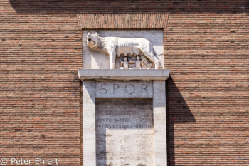 Romulus und Remus SPOR  Roma Latio Italien by Peter Ehlert in Rom - Plätze und Kirchen