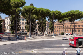 Palazzo Venetia  Roma Latio Italien by Peter Ehlert in Rom - Plätze und Kirchen