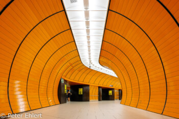 Marienplatz  München Bayern Deutschland by Peter Ehlert in Munich Subway Stations