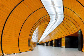 Marienplatz  München Bayern Deutschland by Peter Ehlert in Munich Subway Stations