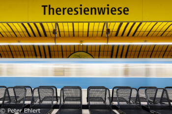 Theresienwiese  München Bayern Deutschland by Peter Ehlert in Munich Subway Stations