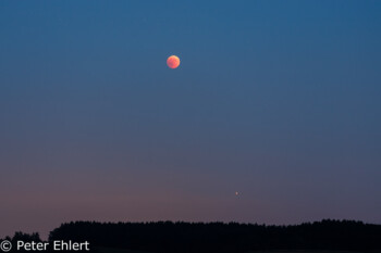 Blutmond über Wald  Odelzhausen Bayern Deutschland by Peter Ehlert in Mondfinsternis