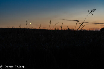 Venus am Abendhimmel über Feld  Odelzhausen Bayern Deutschland by Peter Ehlert in Mondfinsternis