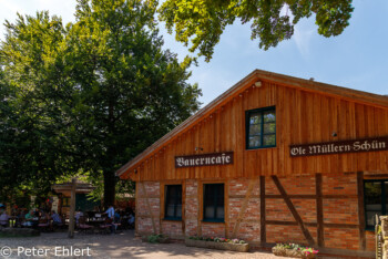 Neubau Bauerncafé  Faßberg Niedersachsen Deutschland by Peter Ehlert in Lüneburger Heide