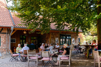 Hof mit Cafégarten  Faßberg Niedersachsen Deutschland by Peter Ehlert in Lüneburger Heide