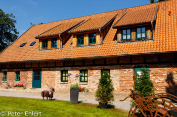 Neubau Scheune  Faßberg Niedersachsen Deutschland by Peter Ehlert in Lüneburger Heide